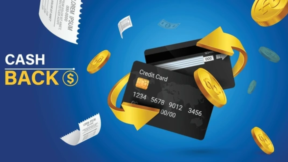 best cash back credit cards